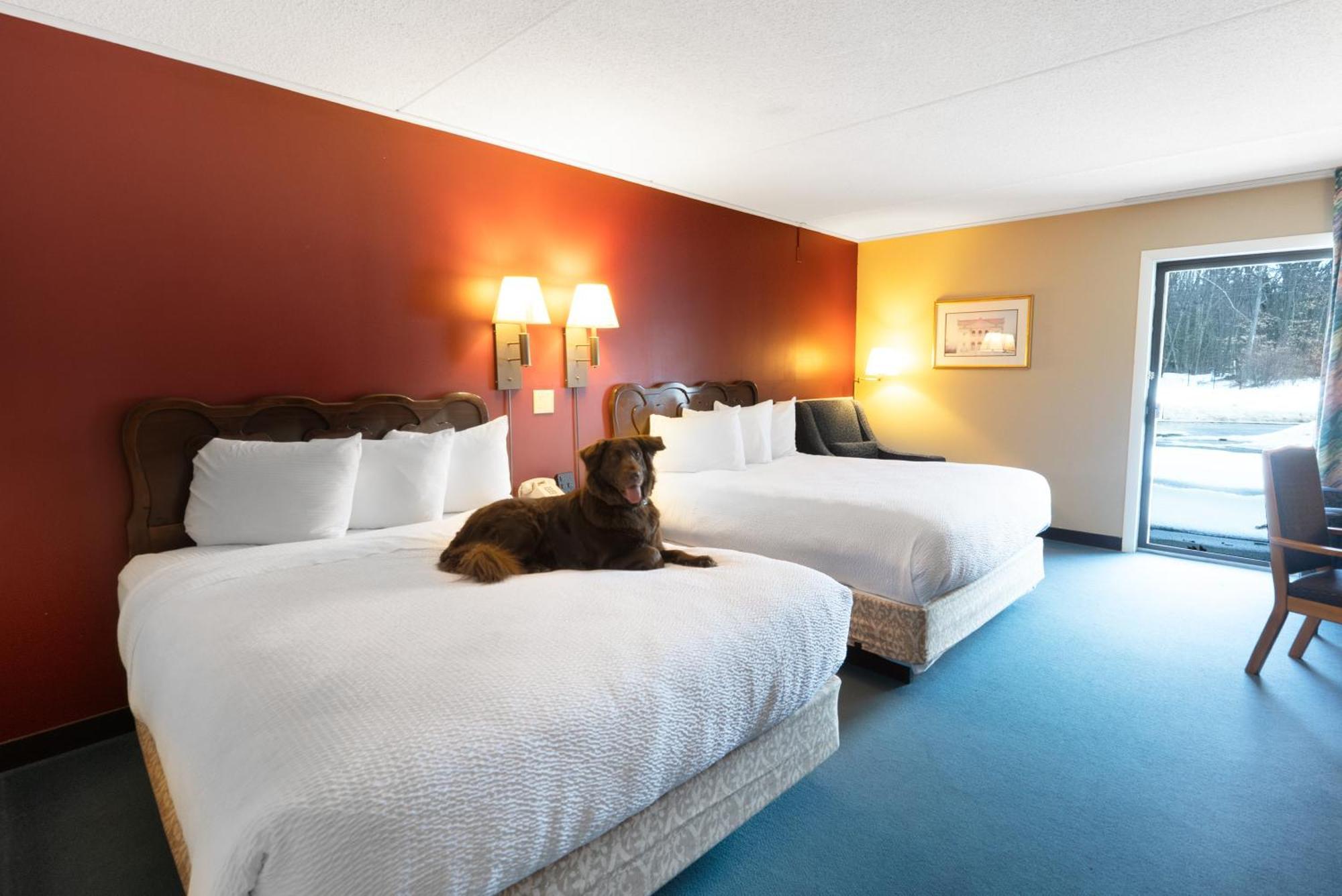 Fireside Inn & Suites Gilford Eksteriør bilde