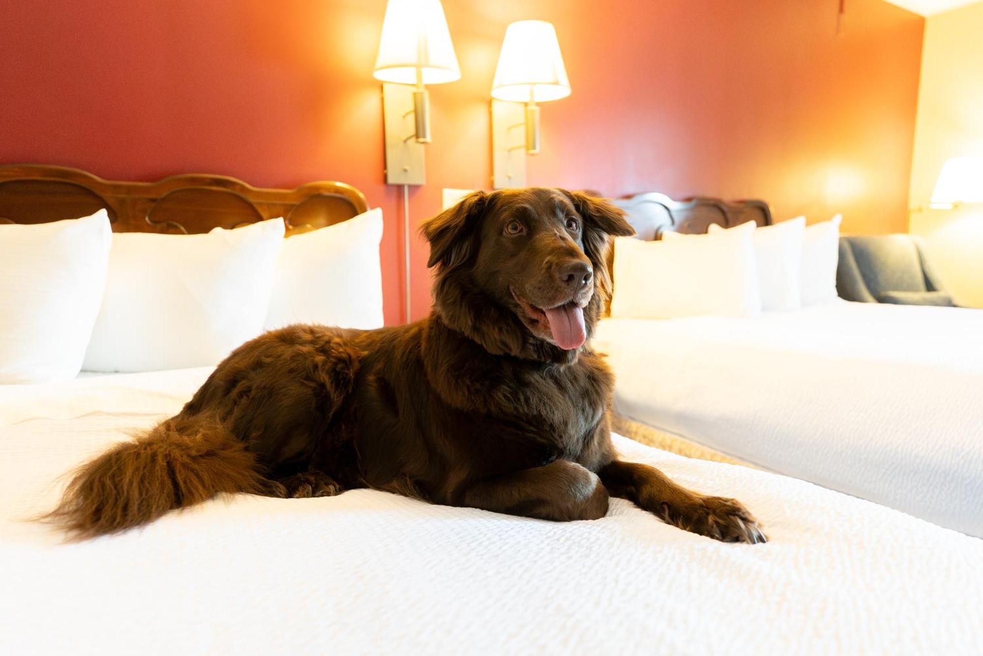 Fireside Inn & Suites Gilford Eksteriør bilde